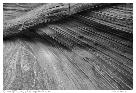 Striation details, Third Wave, Coyote Buttes South. Vermilion Cliffs National Monument, Arizona, USA (black and white)