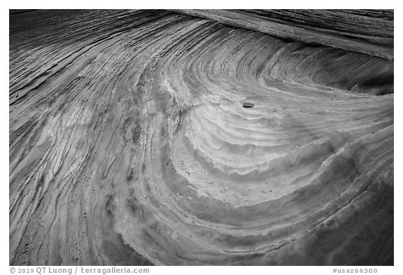 Multicolored swirls, Coyote Buttes South. Vermilion Cliffs National Monument, Arizona, USA (black and white)