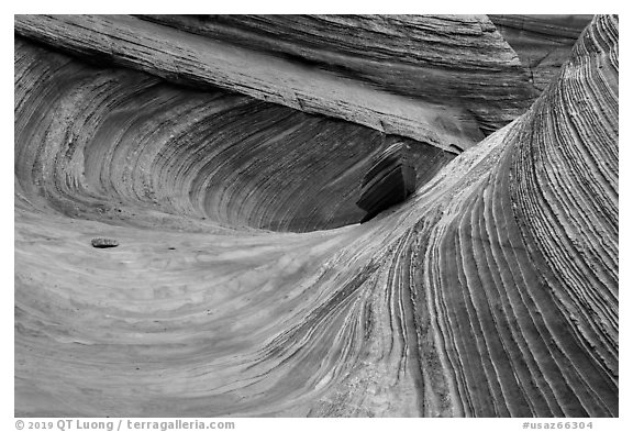 Striated multicolored sandstone, Coyote Buttes South. Vermilion Cliffs National Monument, Arizona, USA (black and white)