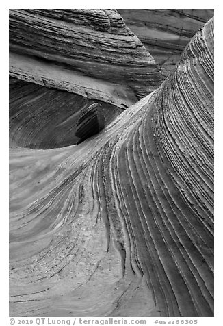 Striated rock walls, Coyote Buttes South. Vermilion Cliffs National Monument, Arizona, USA (black and white)