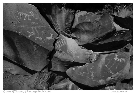 Petroglyphs etched into black basalt rock, Nampaweap. Grand Canyon-Parashant National Monument, Arizona, USA (black and white)