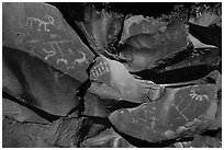 Petroglyphs etched into black basalt rock, Nampaweap. Grand Canyon-Parashant National Monument, Arizona, USA ( black and white)