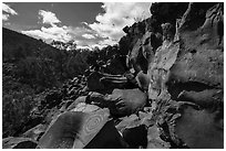 Nampaweap Petroglyph Site. Grand Canyon-Parashant National Monument, Arizona, USA ( black and white)