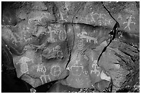 Petroglyph panel on basalt, Nampaweap. Grand Canyon-Parashant National Monument, Arizona, USA ( black and white)