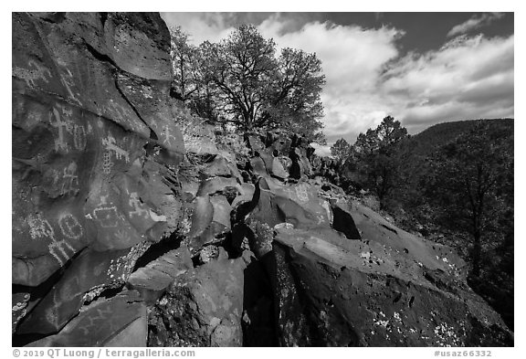 Nampaweap Petroglyphs. Grand Canyon-Parashant National Monument, Arizona, USA (black and white)