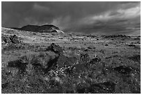Steppe in spring with black volcanic rocks. Grand Canyon-Parashant National Monument, Arizona, USA ( black and white)