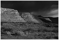 Steppe and cliffs. Grand Canyon-Parashant National Monument, Arizona, USA ( black and white)