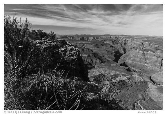 Sanup Plateau and Burnt Canyon from Grand Canyon Rim. Grand Canyon-Parashant National Monument, Arizona, USA (black and white)