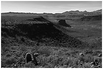 Mojave Desert landscape. Grand Canyon-Parashant National Monument, Arizona, USA ( black and white)