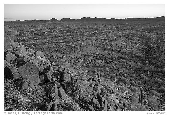 Vekol Valley from Lost Horse Peak at sunset. Sonoran Desert National Monument, Arizona, USA (black and white)