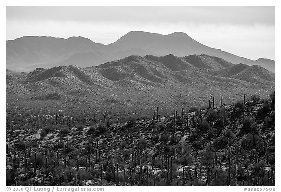 Table Top Mountains. Sonoran Desert National Monument, Arizona, USA (black and white)