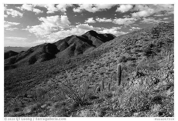 Black Mountain from Table Top Mountain. Sonoran Desert National Monument, Arizona, USA (black and white)