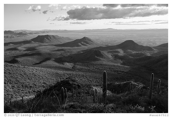 Cactus high on Table Mountain and distant Vekol Valley. Sonoran Desert National Monument, Arizona, USA (black and white)