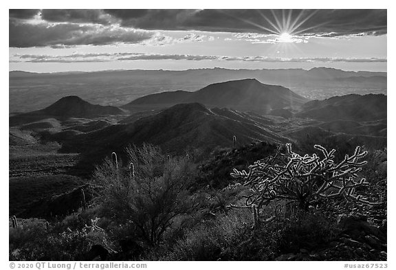 Sun and cactus high on Table Mountain. Sonoran Desert National Monument, Arizona, USA (black and white)