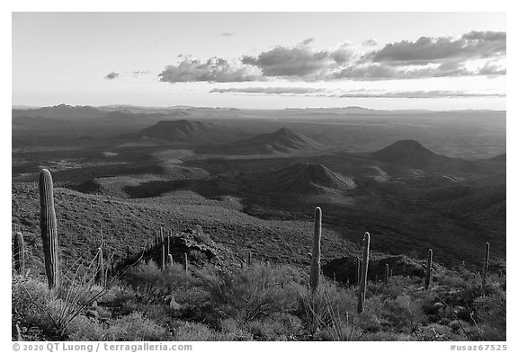 Table Mountain slopes and distant Vekol Valley, late afternoon. Sonoran Desert National Monument, Arizona, USA (black and white)