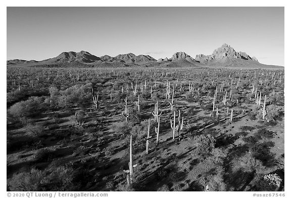 Aerial view of bajada with Silver Bell Mountains, Wolcott Peak, and Ragged Top in distance. Ironwood Forest National Monument, Arizona, USA (black and white)