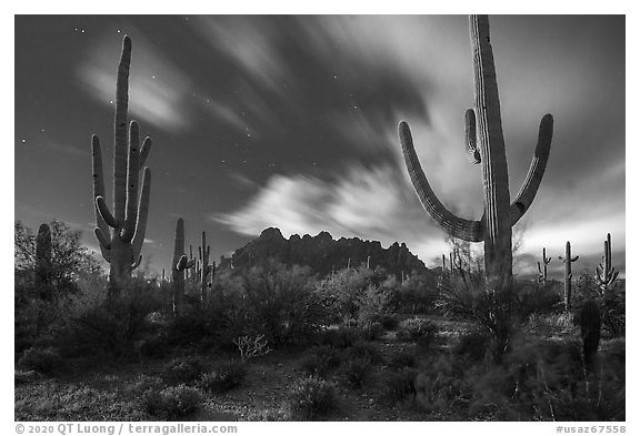 Cactus and Ragged top in moonlight. Ironwood Forest National Monument, Arizona, USA (black and white)