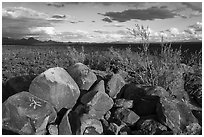 Boulders with petroglyphs, brittlebush, and Avra Valley. Ironwood Forest National Monument, Arizona, USA ( black and white)