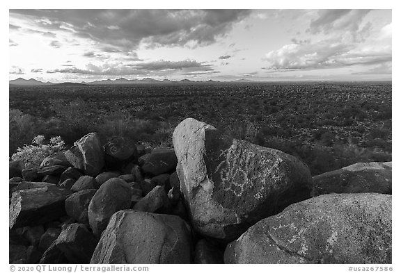 Hohokam petroglyphs on Cocoraque Butte boulders at sunset. Ironwood Forest National Monument, Arizona, USA (black and white)