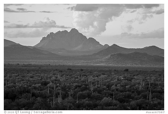 Desert plains with Ragged Top in the distance at sunset. Ironwood Forest National Monument, Arizona, USA (black and white)