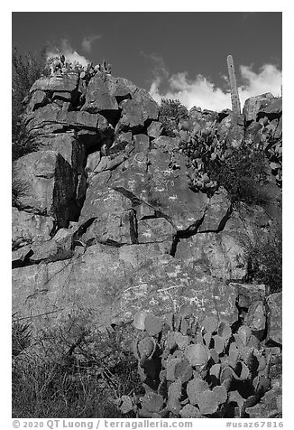 Rock art site, Badger Springs Canyon. Agua Fria National Monument, Arizona, USA (black and white)