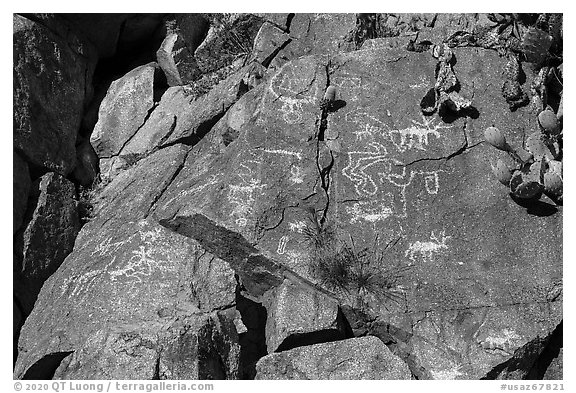 Petroglyphs, Badger Springs Canyon. Agua Fria National Monument, Arizona, USA (black and white)