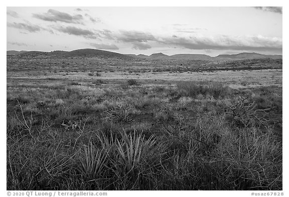 Desert grassland at sunset. Agua Fria National Monument, Arizona, USA (black and white)