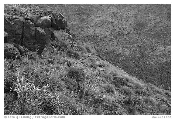 Basalt rocks, Agua Fria Canyon slopes. Agua Fria National Monument, Arizona, USA (black and white)
