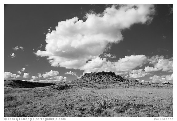 Citadel Sink. Wupatki National Monument, Arizona, USA (black and white)