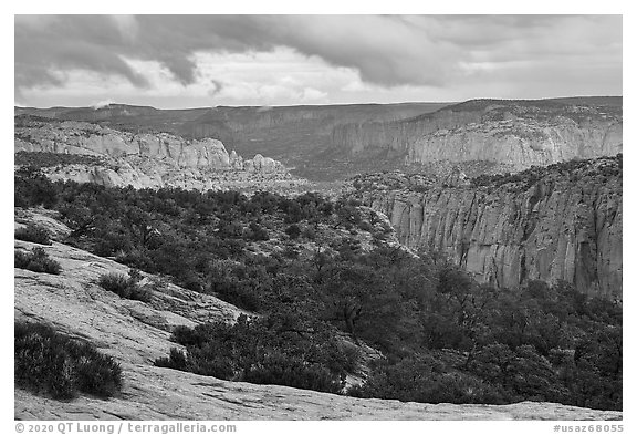 Distant cliffs, Tsegi Canyon system. Navajo National Monument, Arizona, USA (black and white)