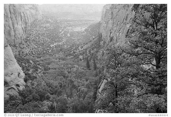 Rain, Betatakin Canyon. Navajo National Monument, Arizona, USA (black and white)