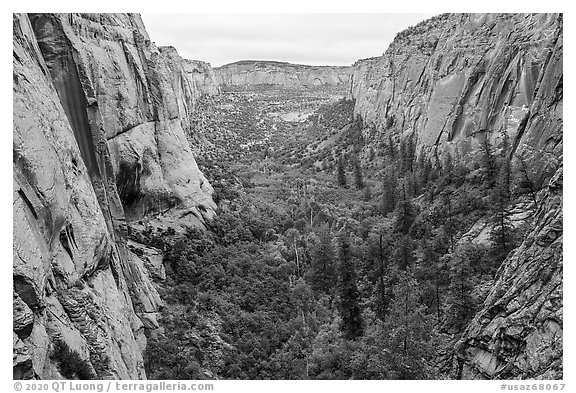 Betatakin Canyon. Navajo National Monument, Arizona, USA (black and white)