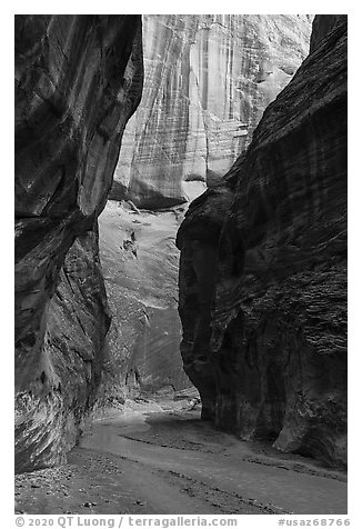 Paria River Canyon. Vermilion Cliffs National Monument, Arizona, USA (black and white)