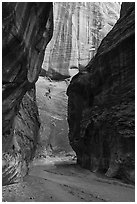 Paria River Canyon. Vermilion Cliffs National Monument, Arizona, USA ( black and white)