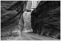 Narrows of Paria River Canyon. Vermilion Cliffs National Monument, Arizona, USA ( black and white)