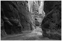 Paria River flowing in Paria Canyon. Vermilion Cliffs National Monument, Arizona, USA ( black and white)