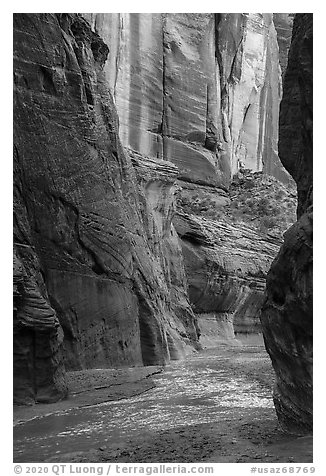 Paria River flowing between tall canyon walls. Vermilion Cliffs National Monument, Arizona, USA (black and white)