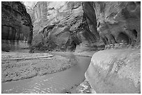 Bend in Paria Canyon with windows carved by water. Vermilion Cliffs National Monument, Arizona, USA ( black and white)