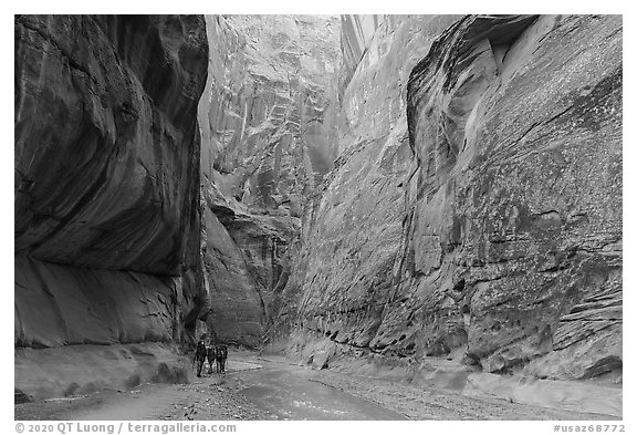 Group of backpackers in Paria Canyon. Vermilion Cliffs National Monument, Arizona, USA (black and white)