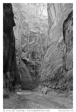 Tall walls of Paria Canyon. Vermilion Cliffs National Monument, Arizona, USA (black and white)