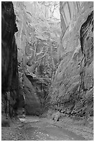 Tall walls of Paria Canyon. Vermilion Cliffs National Monument, Arizona, USA ( black and white)
