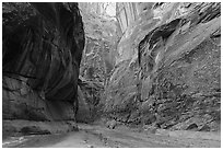 Paria Canyon narrows. Vermilion Cliffs National Monument, Arizona, USA ( black and white)
