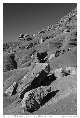 Rocks on slope. Vermilion Cliffs National Monument, Arizona, USA (black and white)