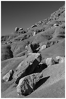 Rocks on slope. Vermilion Cliffs National Monument, Arizona, USA ( black and white)