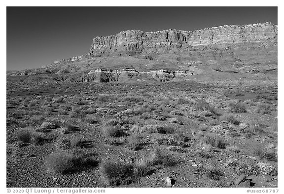 Vermilion Cliffs rising above flats. Vermilion Cliffs National Monument, Arizona, USA (black and white)