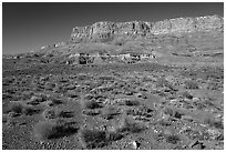 Vermilion Cliffs rising above flats. Vermilion Cliffs National Monument, Arizona, USA ( black and white)