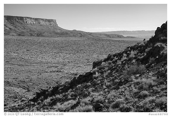 Vermilion Cliffs near Bonelli Springs. Vermilion Cliffs National Monument, Arizona, USA (black and white)