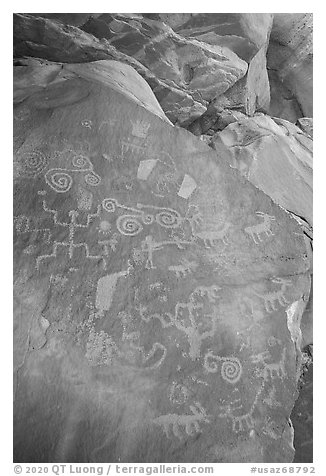 Rock with petroglyps. Vermilion Cliffs National Monument, Arizona, USA (black and white)
