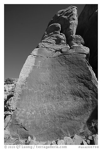 Boulder with Maze rock art. Vermilion Cliffs National Monument, Arizona, USA (black and white)
