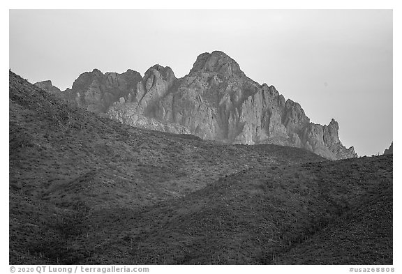 Ragged Top at dawn. Ironwood Forest National Monument, Arizona, USA (black and white)